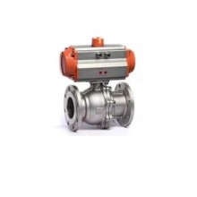 Pneumatic Actuator Valve