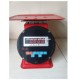 Digital Weighing Counting Table Scale - 60KG Capacity