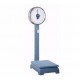 Camry Analog Weighing Scale - 150kg