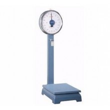 Camry Analog Weighing Scale